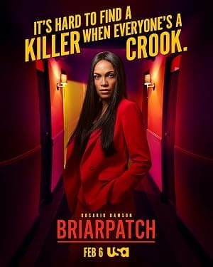 Briarpatch poster