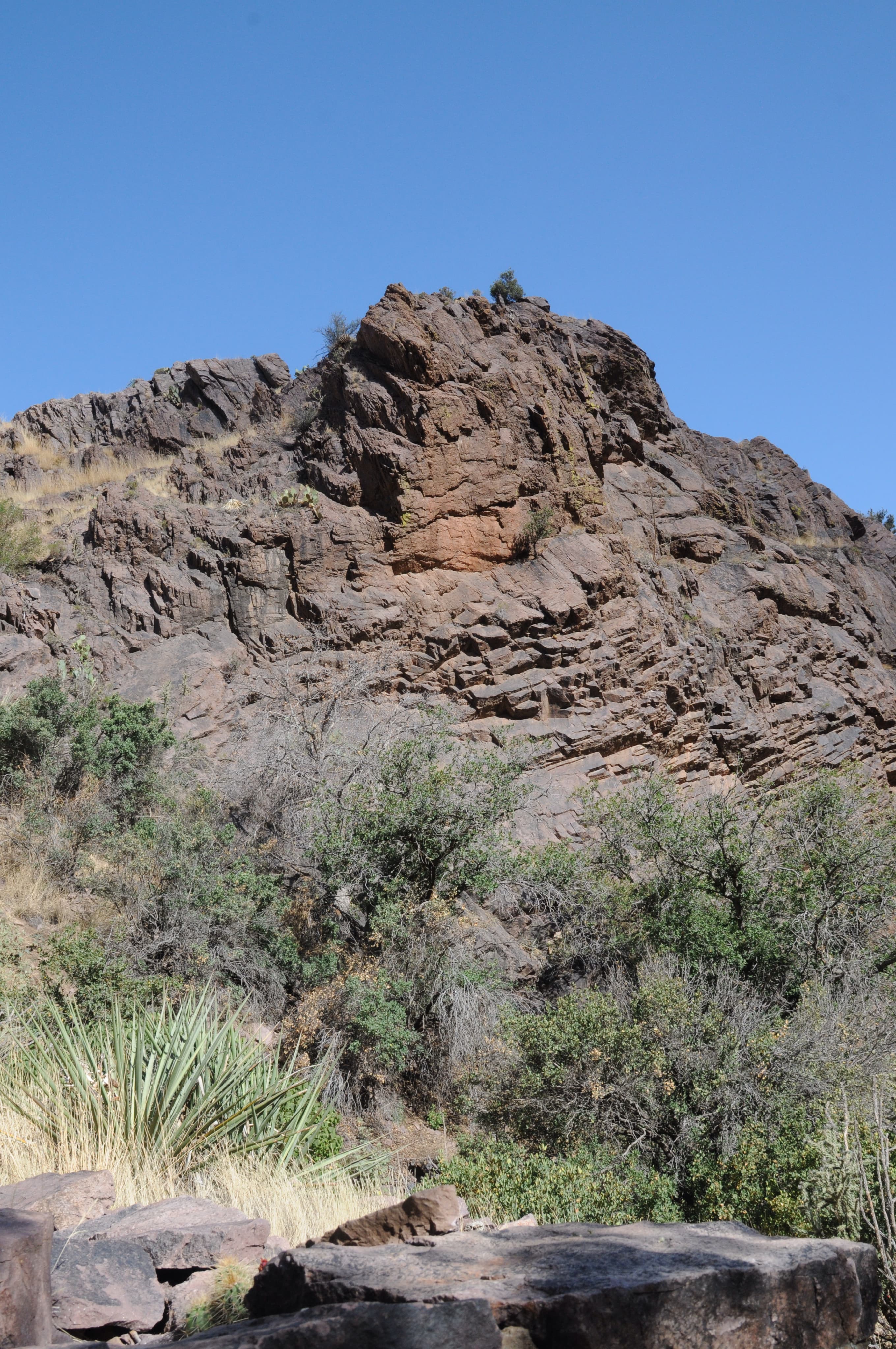 Organ Mountains-Desert Peaks National Monument landscape, southern New Mexico