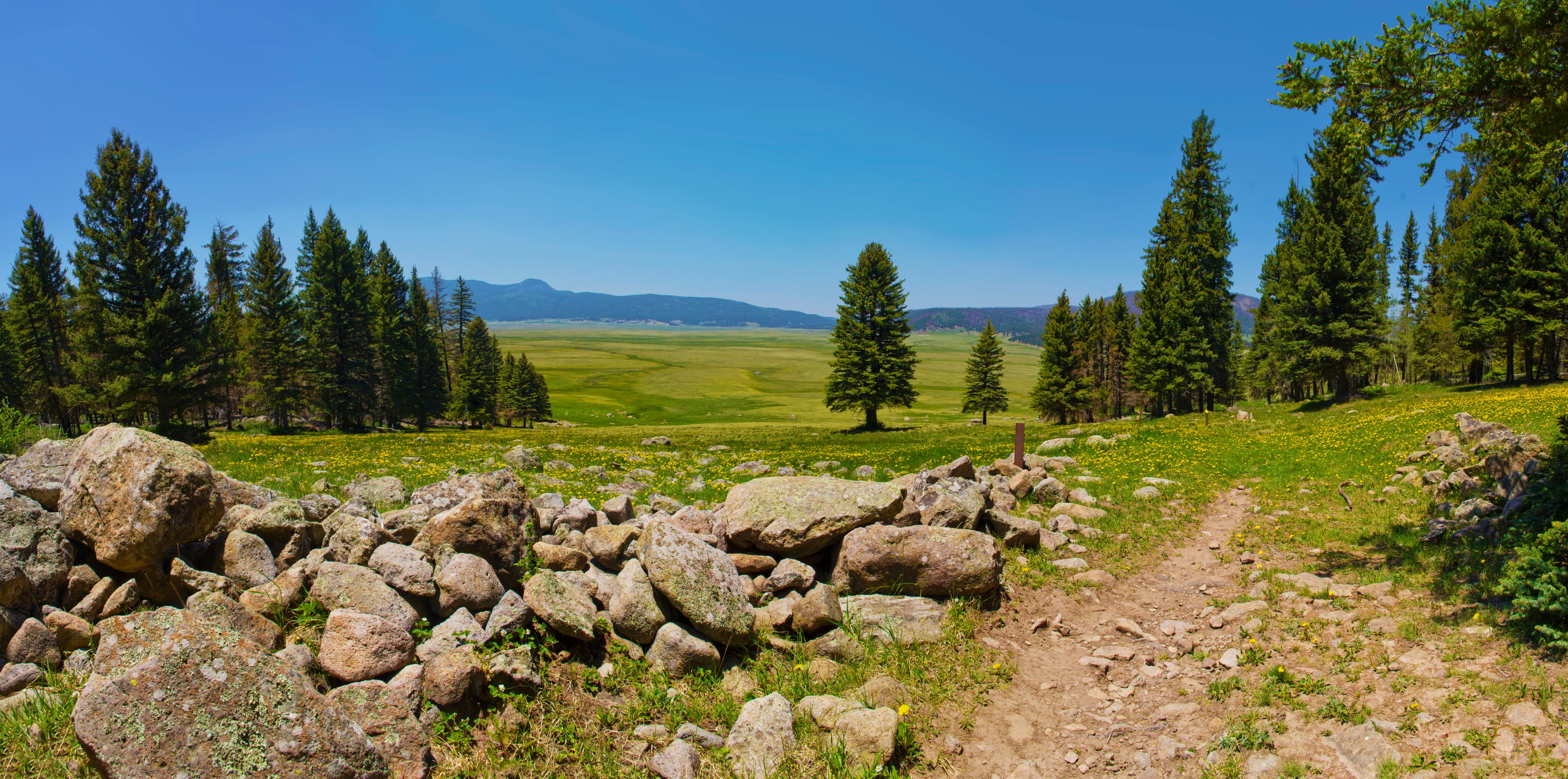 Panoramic view of the high grassland inside Valles Caldera National Preserve.
