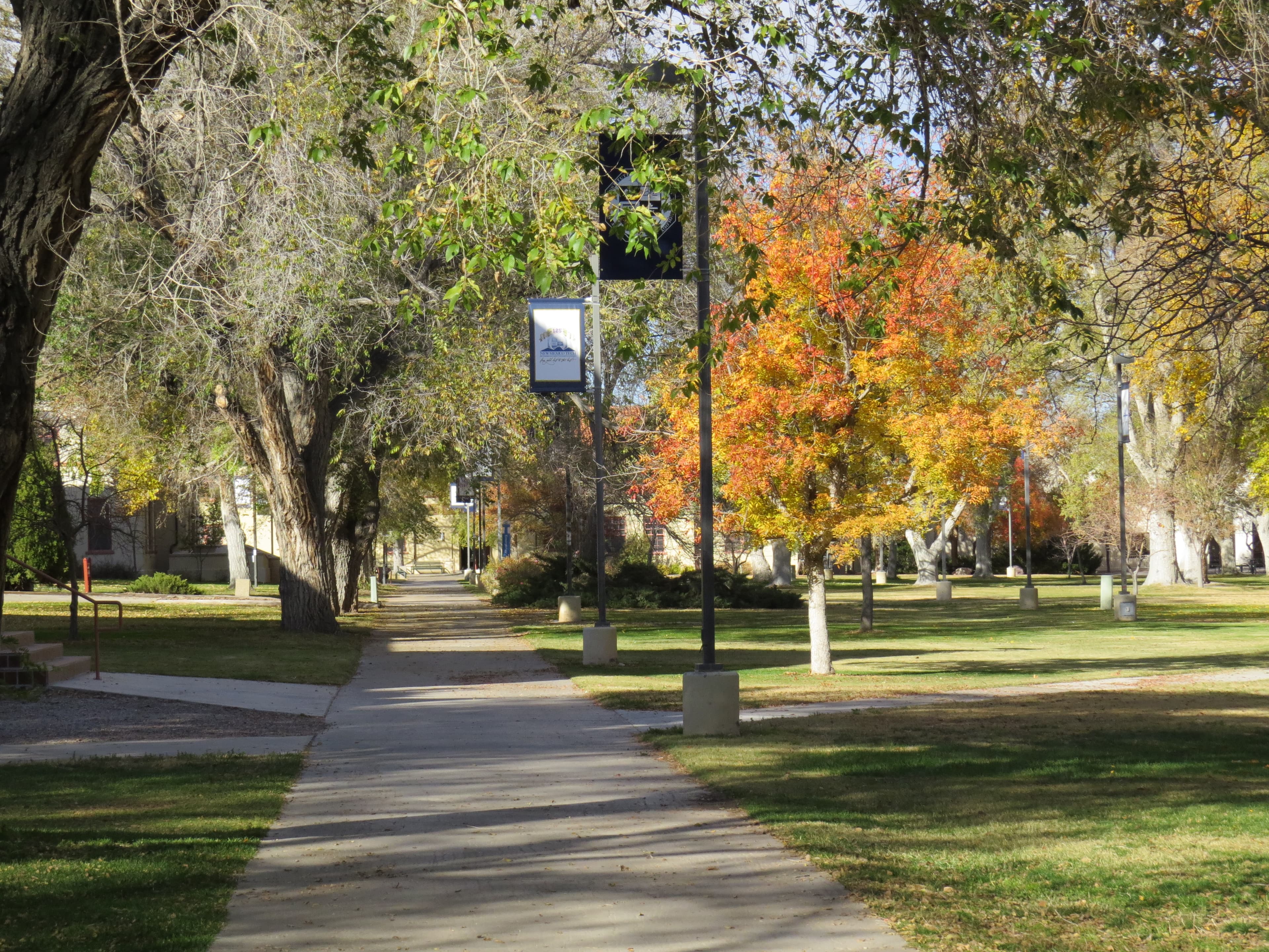 The quad area at New Mexico Institute of Mining and Technology campus in Socorro